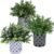 Winlyn 3-Pack Artificial Potted Plants – Faux Eucalyptus, Rosemary, Boxwood Greenery in Small Black & White Geometric Concrete Pots -Desk, Table, Shelf, Windowsill Decor for Indoor Outdoor Home Office