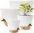 4-Pack Large Self Watering Pots for Indoor Plants, 12/10/9/8 Inch Planters with Visible Water Level Window, Automatic Watering System for Monstera, Fiddle Leaf, Herbs, Succulents, White