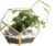 NCYP Glass Geometric Terrarium Planter with Door and Foot, Pentagon Ball Shape Glass Terrarium for Fern, Succulents, Small Plants, Gold, 6.8 x 6.8 x 5.9 inches (No Plants)