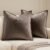 MIULEE Dark Coffee Velvet Throw Pillow Covers 20×20 Taupe Neutral Soft Decorative Solid Square Cushion Cases Pack of 2 Modern Luxury Home Decor for Couch, Sofa, Bedroom