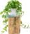 ROVALA Silk Plants for Home Decor Indoor in Pot Realistic Artificial Plants Fake Hanging Plants Faux Plants Indoor Fake Potted Plants Fake Plants for Shelves Bathroom Plants, Fake Pothos (Light Green)