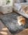 Ophanie Small Rug Upgrade Non Slip Throw Bedside Area Rugs, Fluffy Soft Grey Mini Bedroom Carpet, Affordable Door Entryway Indoor Inside Front Entrance Dog 2×3 Mat, Home Decor Aesthetic, Nursery