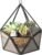 ElegantLife Glass Geometric Terrarium,Succulent & Air Plant(No Plant Included) (Black)