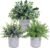 Set of 3 Assorted Small Potted Plants Fake Eucalyptus and Rosemary Plants in Gray Geometric Concrete Ceramic Pots for Gifts Home Kitchen Office Shelf Table Desk Modern Indoor Outdoor Greenery Decor