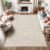 Valenrug Washable Rugs 4×6 – Stain Resistant 4×6 Area Rugs for Living Room, Non Slip Backing Printed Rugs for Bedroom, Folable Machine Washable Area Rug(4’x6′, Beige)