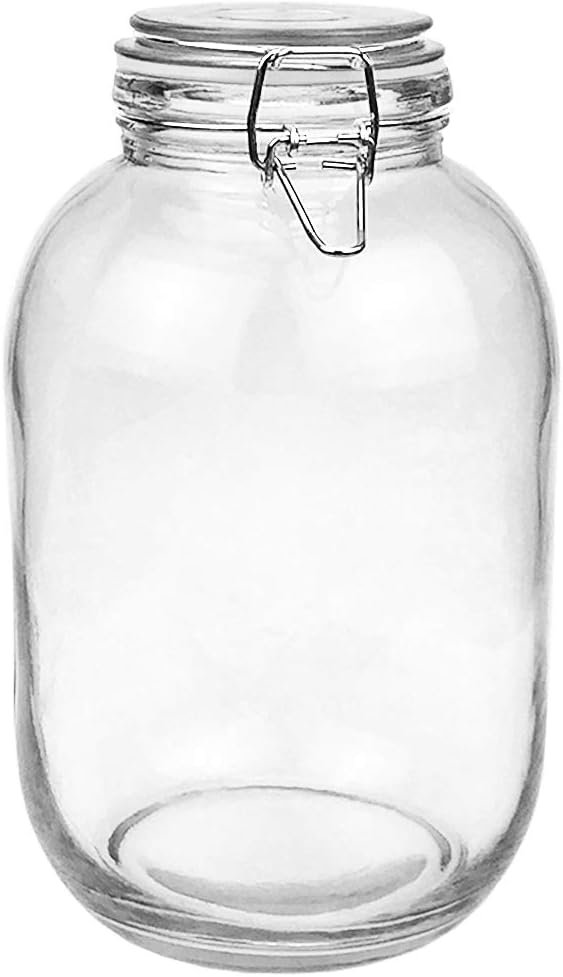 Folinstall Gallon Glass Jar with Airtight Lid – Large Mason Jar for Pickled Eggs, Kombucha, Limoncello, Sun Tea (Extra Gasket)