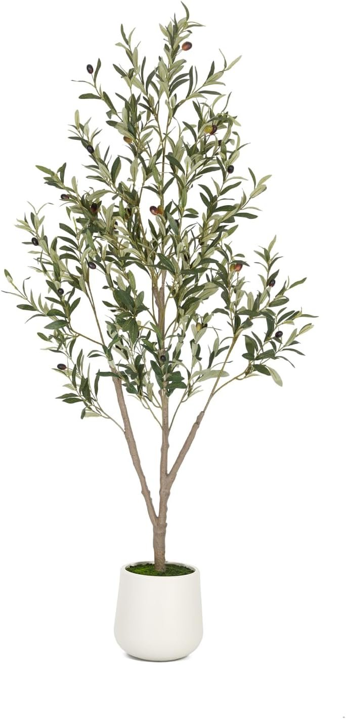 VIVATREES Olive Trees Artificial Indoor, 5FT Tall Faux Olive Tree with White Tall Planter, Artificial Plants with Natural Wood Trunk and Lifelike Fruits for Home Office Decor