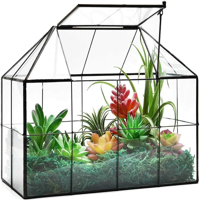 Large Glass Terrarium House Planter – Succulent Plant Glass Greenhouse with lid 9.8″X7.9″X5.9″ NA