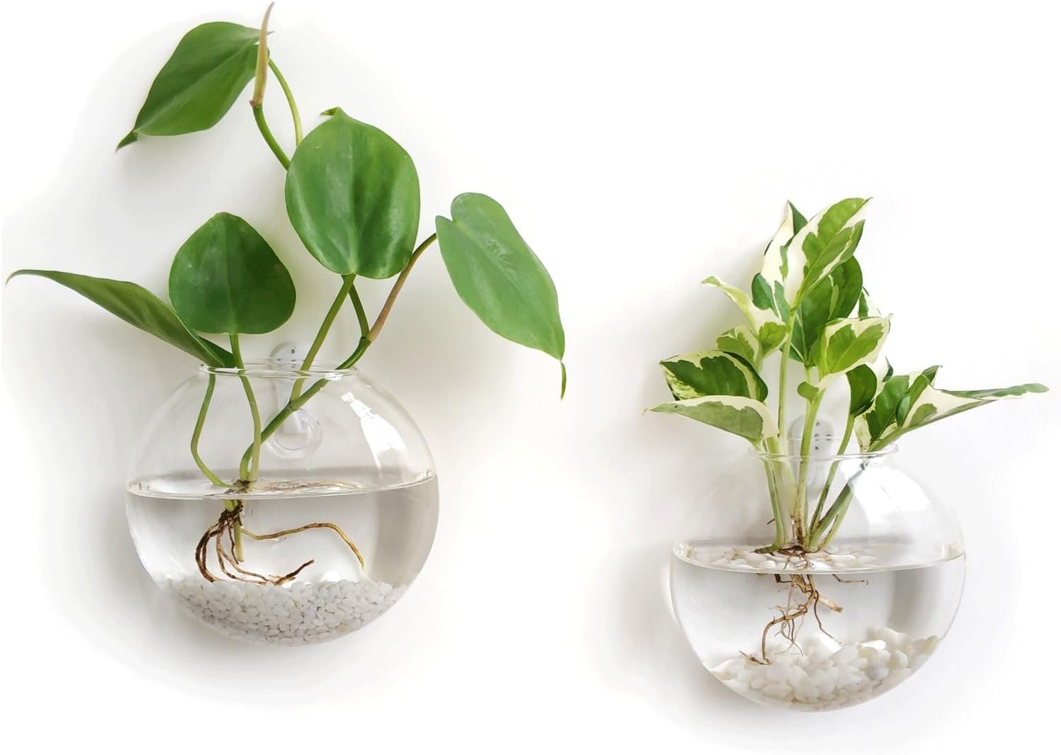 Mkono Wall Hanging Glass Terrariums Planter Oblate Flower Vase for Hydroponics Plants, Bathroom, Home Office Living Room Decor, Set of 2（Plants not Included）