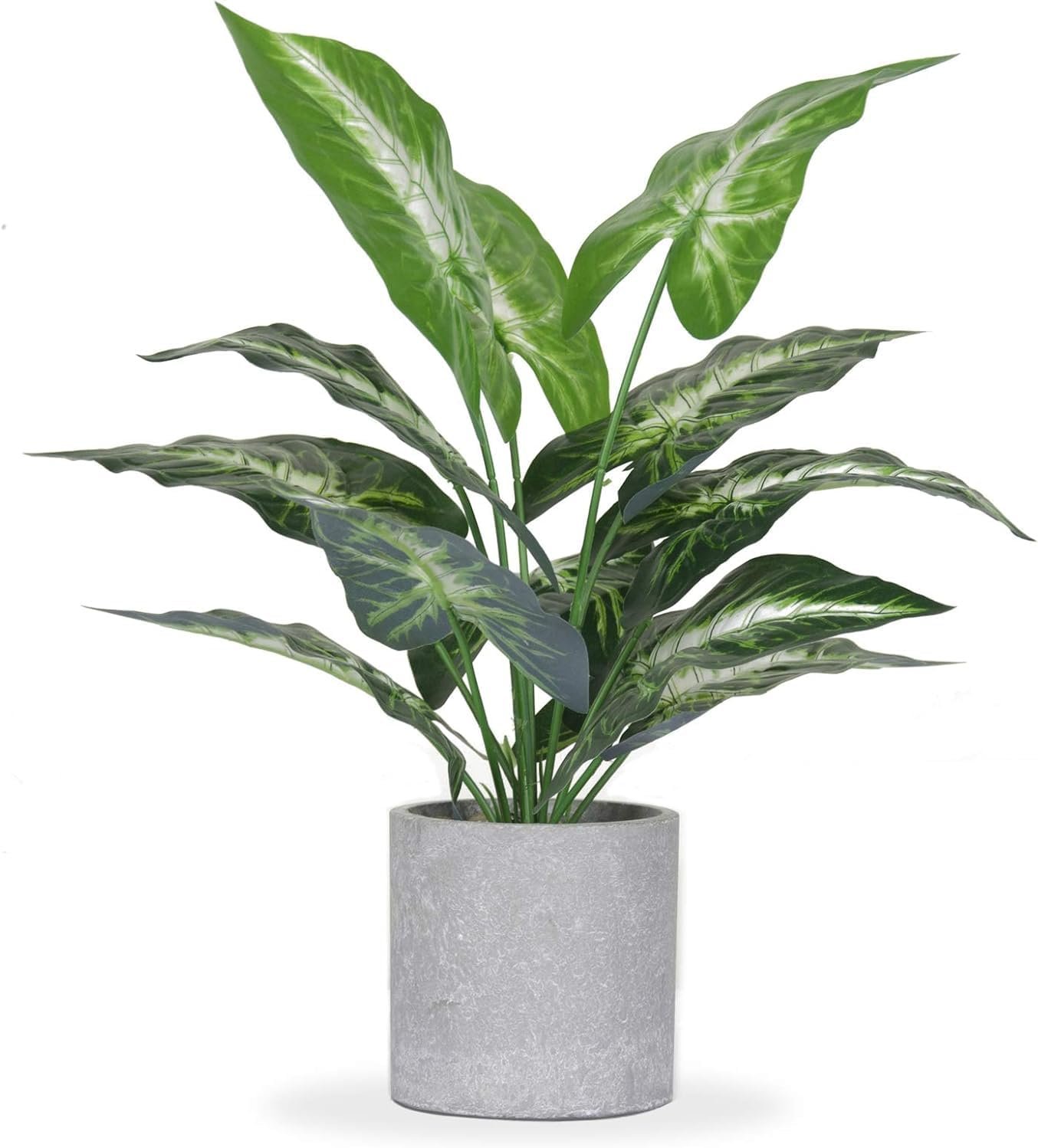 Der Rose JC nateva 16″ Small Fake Plants Artificial Tropical Faux Plants Indoor for Office Desk Shelf Bathroom Home Decor