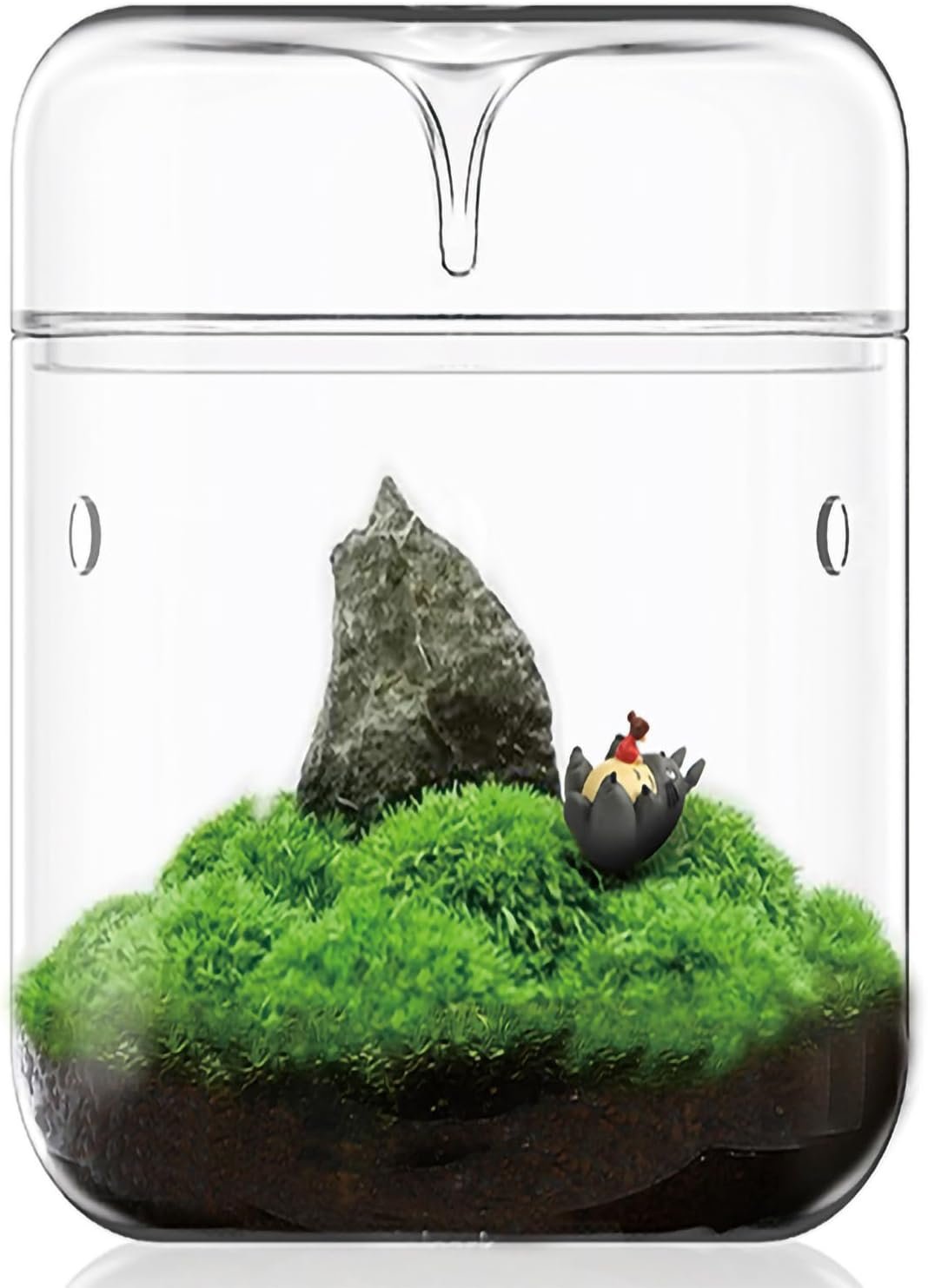 SARUFO Small Glass Plant Terrarium 4.7″X7″ Inches Succulent Air Planter Fern Moss Micro-Landscape Vase for Home Garden Office Tabletop Decoration Container with Lid Indoor Wardian Copyright Patent