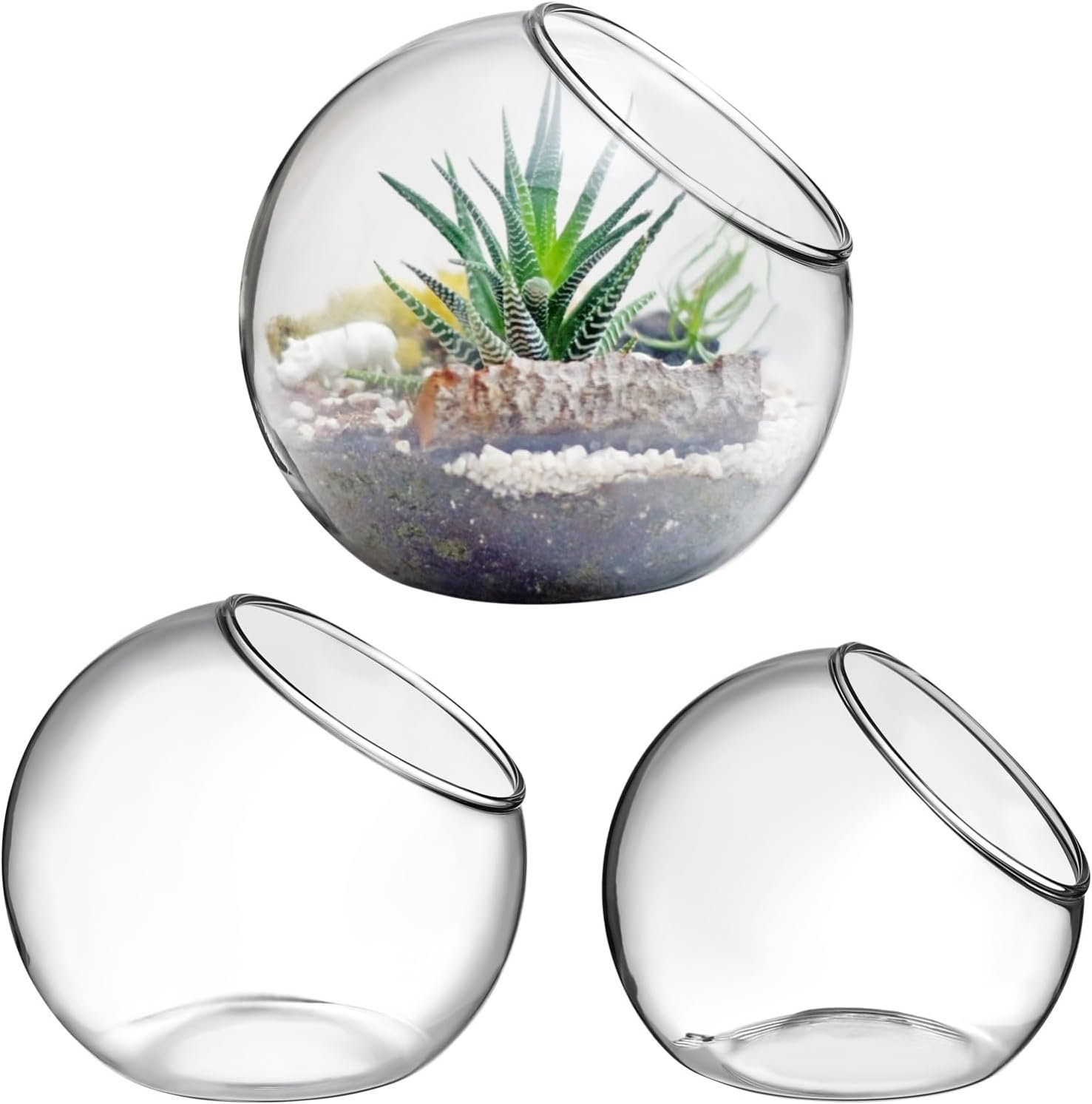 SEWACC 3pcs Succulent Terrarium Air Plant Planters Globe, Glass Bowls Vases, Desktop Glass Plant Containers for Home Office, Transparent