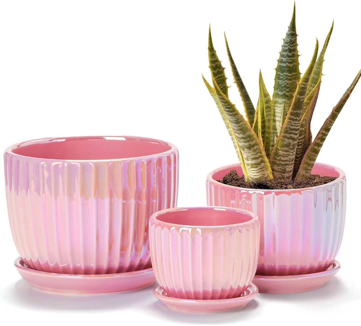 Ton Sin Pink Gold Ceramic Flower Pots, 4″+5″+6″ Inch Small Glazed Succulent Planters with Drainage Hole,Modern Indoor Decorative Plant Pots Set of 3,Garden Pots with Saucer