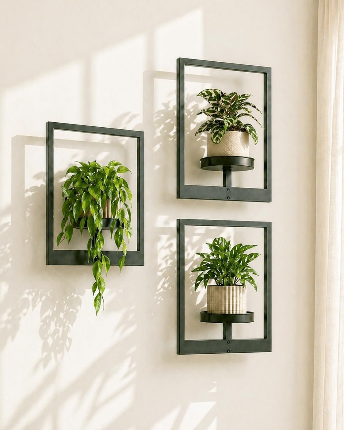 Bamworld Hanging Planters for Indoor Plants Wall Decor Living Room Plant Stand Indoor Wall Planters Plant Hanger Window Plant Shelves 3 Pack for Outdoor Entryway