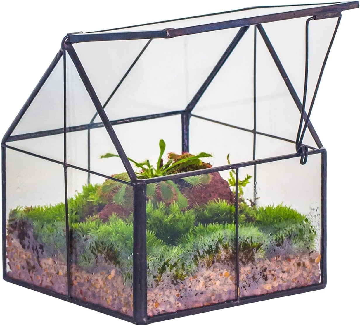 NCYP Mini Glass Terrarium with Lid – 4.25″ x 4.25″ x 4.92″ Small House Shape Close Geometric Planter Pot for Mini Succulents Plant – Handmade, Home Garden Office Decor, Black (Terrarium Only)
