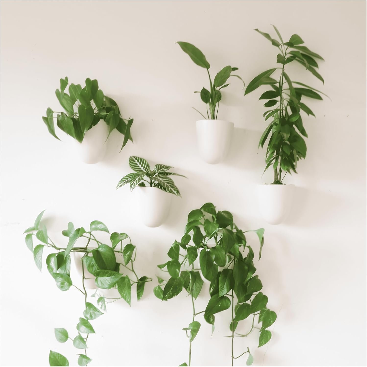 Make Good PlantPod Luxe – Self-Watering Wall Planters (Set of 6) – Easy to Water and Install – Lightweight – Design Your Own Vertical Garden – Wall Planters for Indoor Plants
