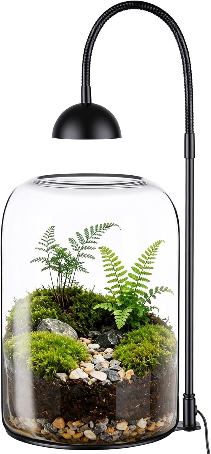 Glass Plant Terrarium with LED Grow Light & Adjustable Ventilation, 8.2″ Desktop Terrarium for Venus Fly Trap, Moss & Succulents, Borosilicate Indoor Planter for Home Office Decor