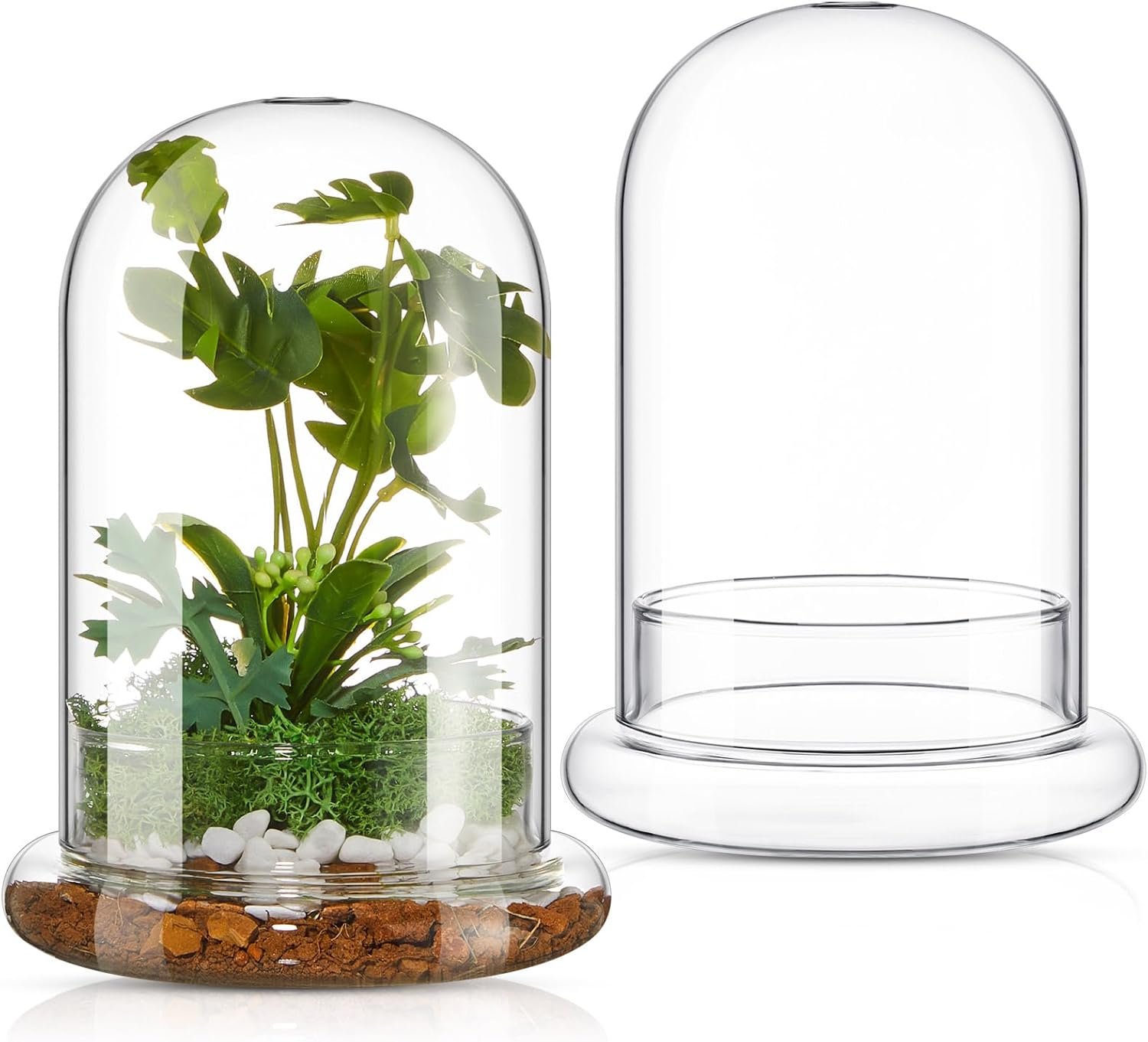 2 Pcs 5.9 x 7.9 Inch Glass Terrarium Clear Terrarium Planter Container Glass Dome Cloche with Airhole and Base for Plant Flower Home Tabletop Display Centerpiece, Plants Not Included