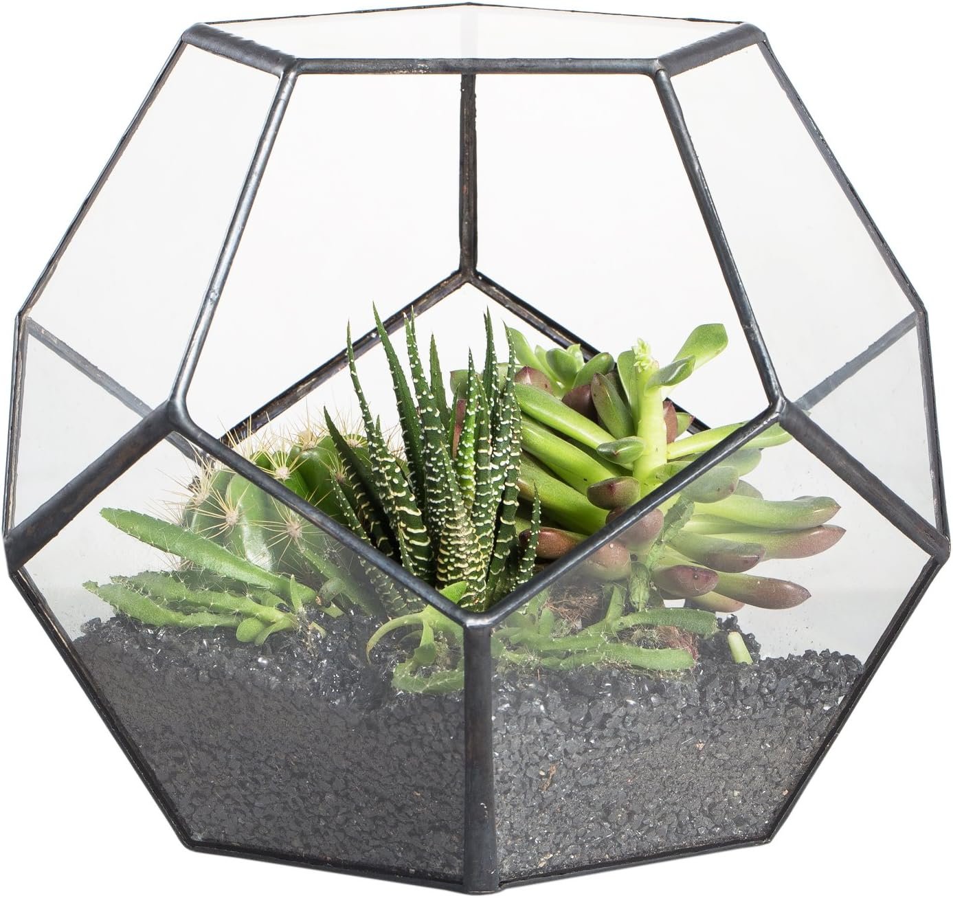 NCYP Small No Door Terrarium Planter – 6.8″ x 6.8″ x 5.9″ Open Geometric Glass Terrarium Pot for Mini Succulents, Small Cactus – Home Tabletop Miniature Decor, Black (No Plants)