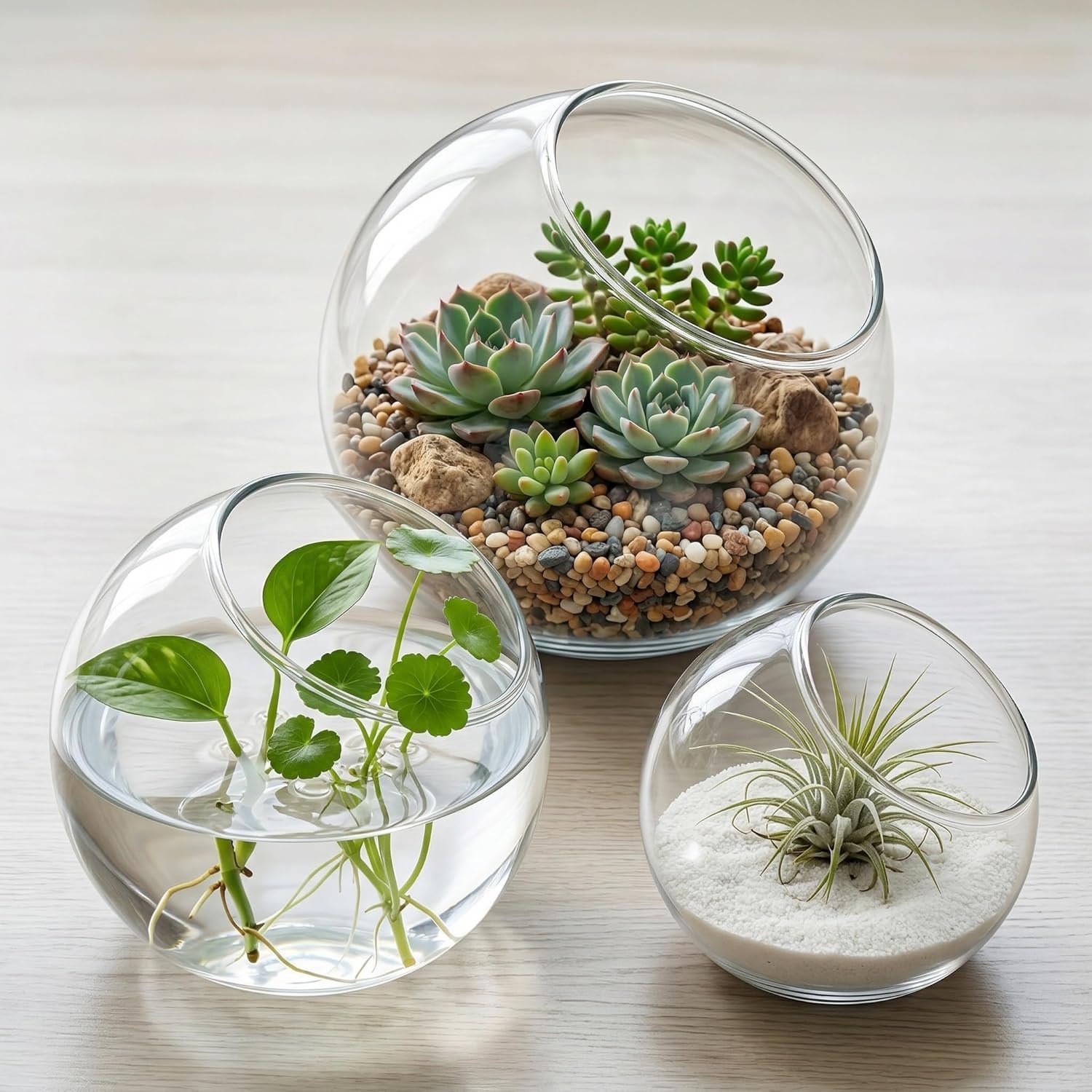 HEMOTON 3 Pack Glass Terrarium Containers, Slanted Bowl Air Plant Holder Set (3. 1/3. 9/4. 7 Inch), Small Clear Round Succulent Planter Globe for Micro Landscape, Candle Decor