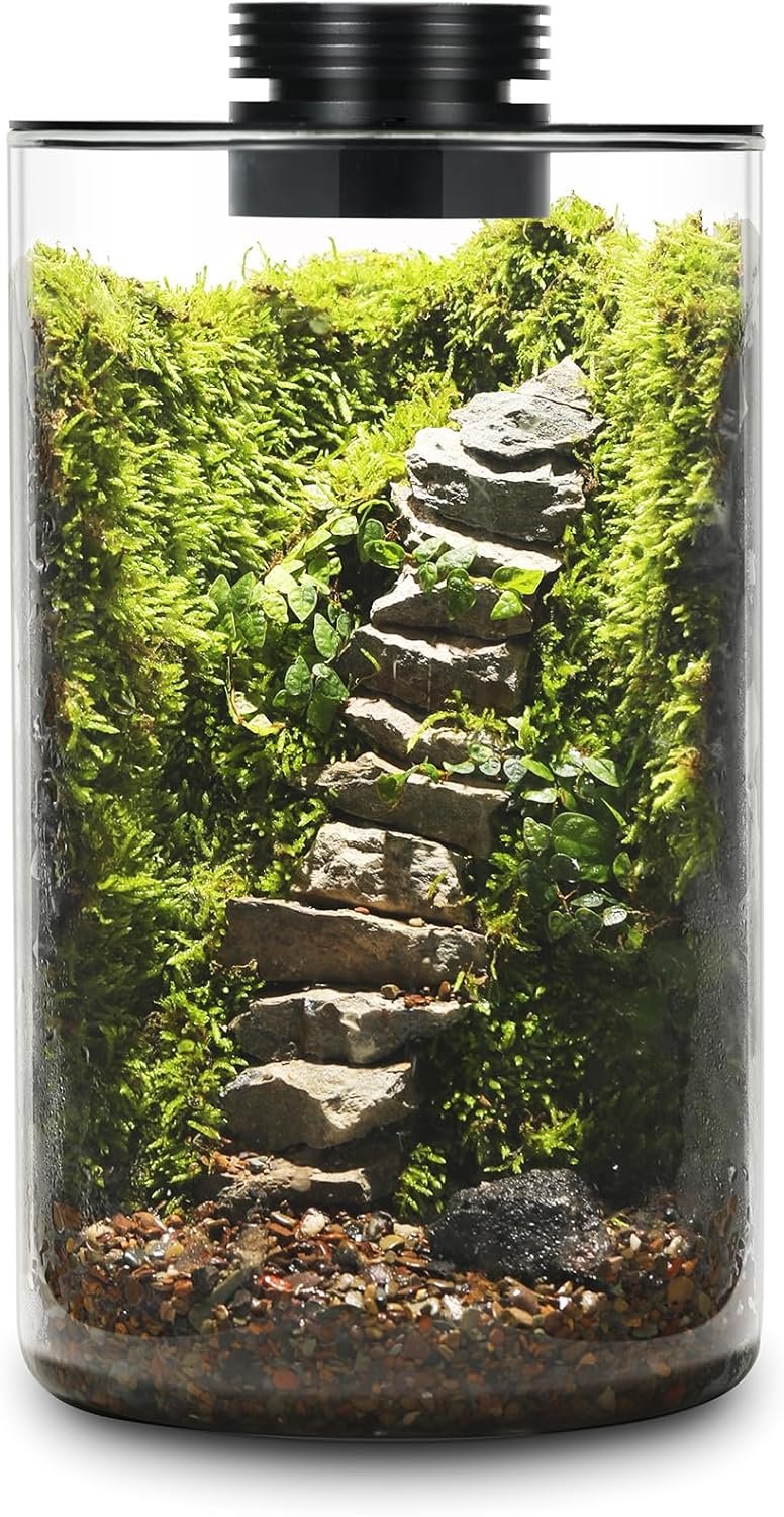 Desktop Glass Plant Terrarium with Grow Light (H:9.8″ D:5.9″), for Succulent, Moss, Miniature Gardening Landscape, Betta Fish Tank, Office Home Decoration, Plant Lovers Gifts