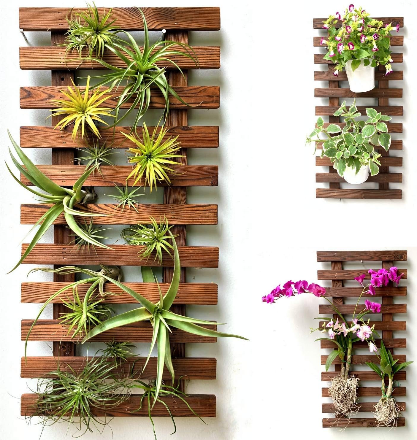 ShopLaLa Wall Planter – Wooden Hanging Planter for Indoor Plants, Plant Stand, Air Plant Succulent Holder, Vertical Garden. Large Wall Decor for Living Room, Room Decor for Teens, 60cm (23.6″)