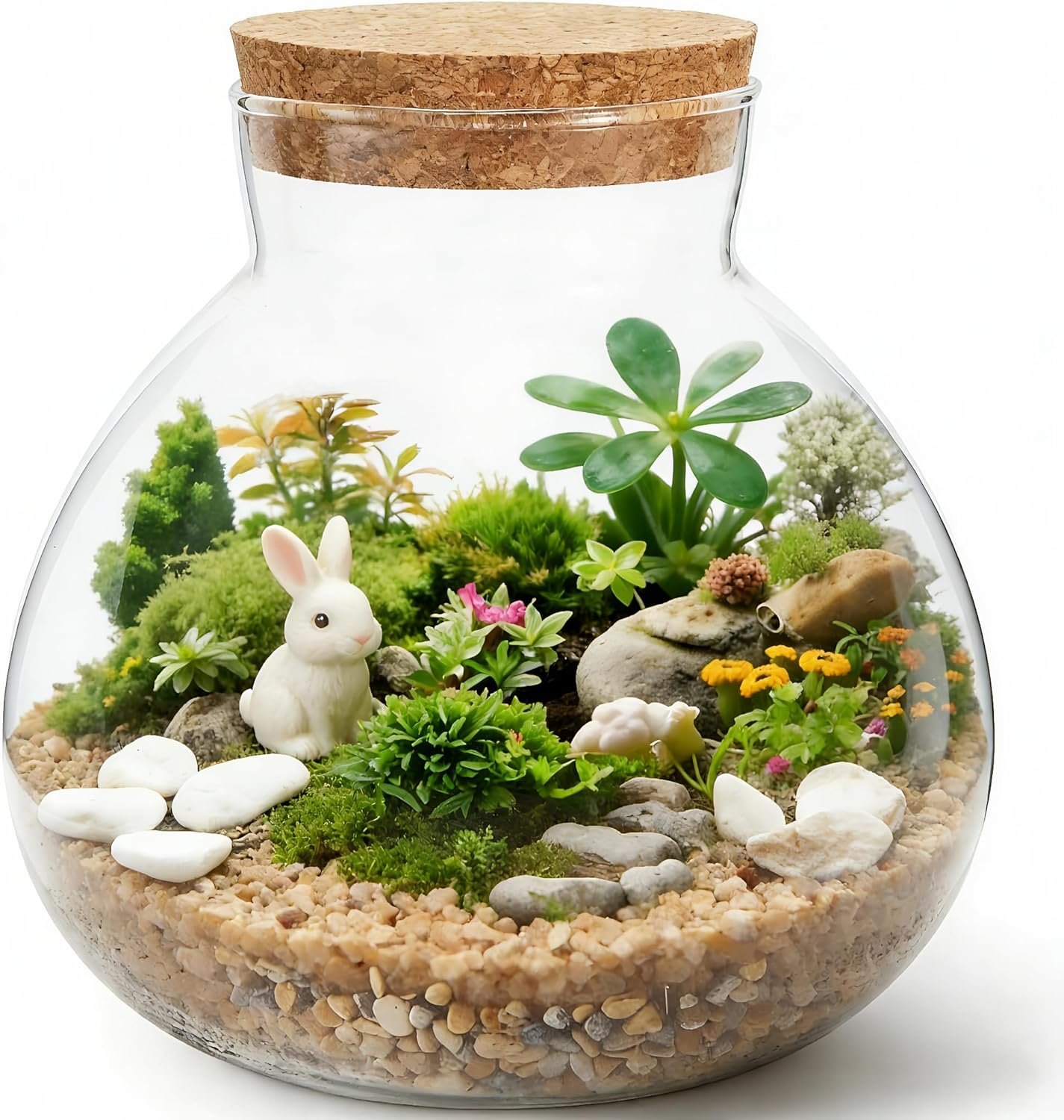 NUOBESTY Glass Terrarium Jar with Cork Lid, 6×6.3 Inch Closed Terrarium for Succulent Moss and Fern, DIY Miniature Desktop Garden for Home & Office Decor (No Plants)