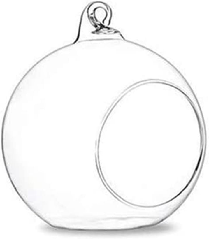 Hanging Glass Terrarium Globe Light Candle Holder Home Succulents Vase Hanger