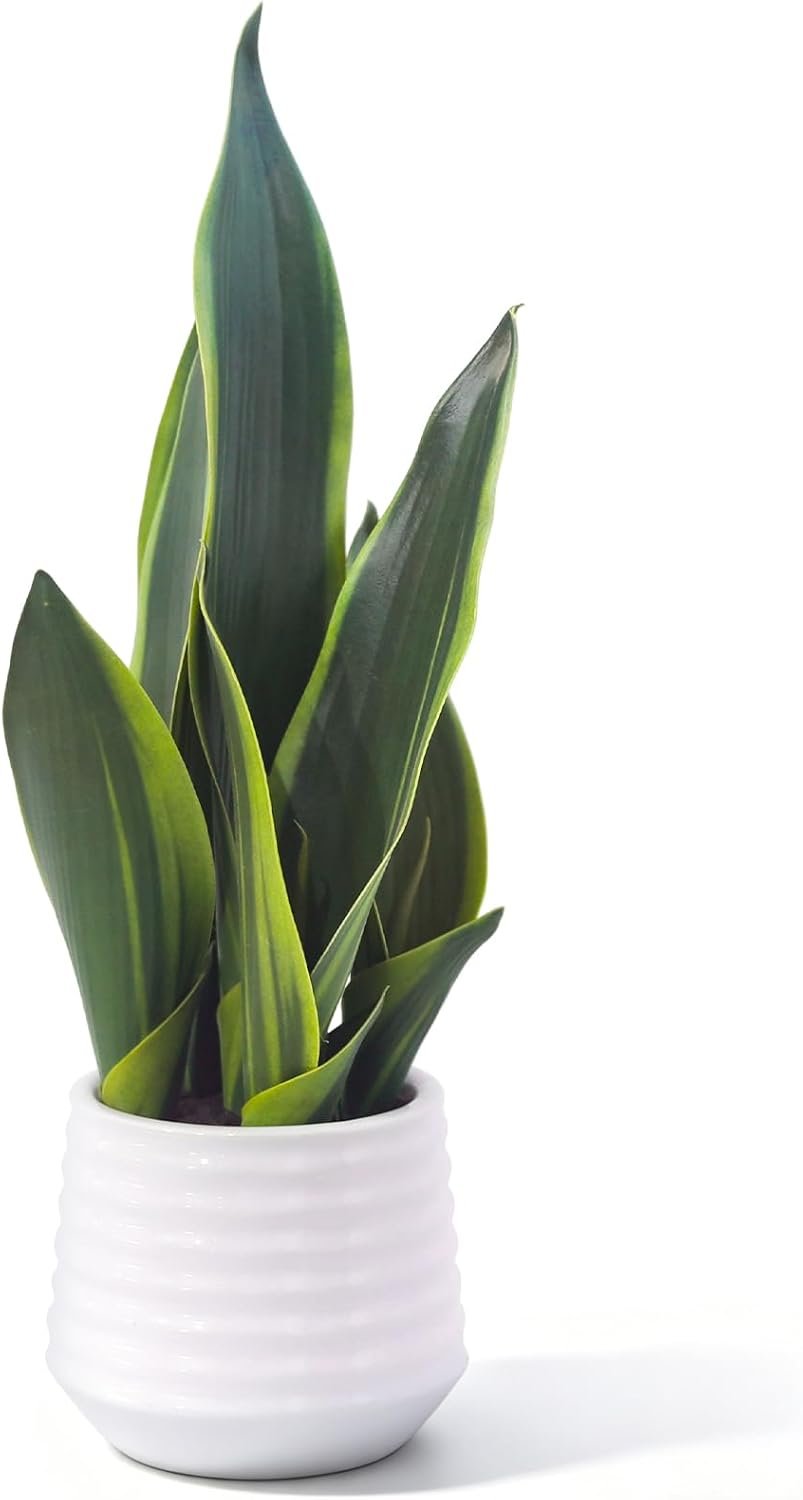 Artificial Snake Plant Potted, 15″ Faux Plant, Suitable for Home Office Living Room Window Sill Indoor Decor Housewarming Gifts