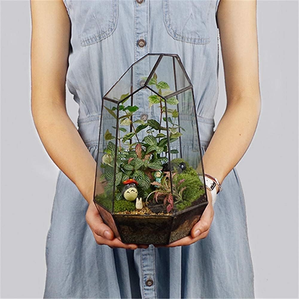 Geometric Glass Terrarium for Indoor Plants,Irregular Clear Planter,Black Opened Container Pot for Cacti,Succulents and Moss,Home Garden Office Tabletop Decor,6.5×5.7×9.8” No Door