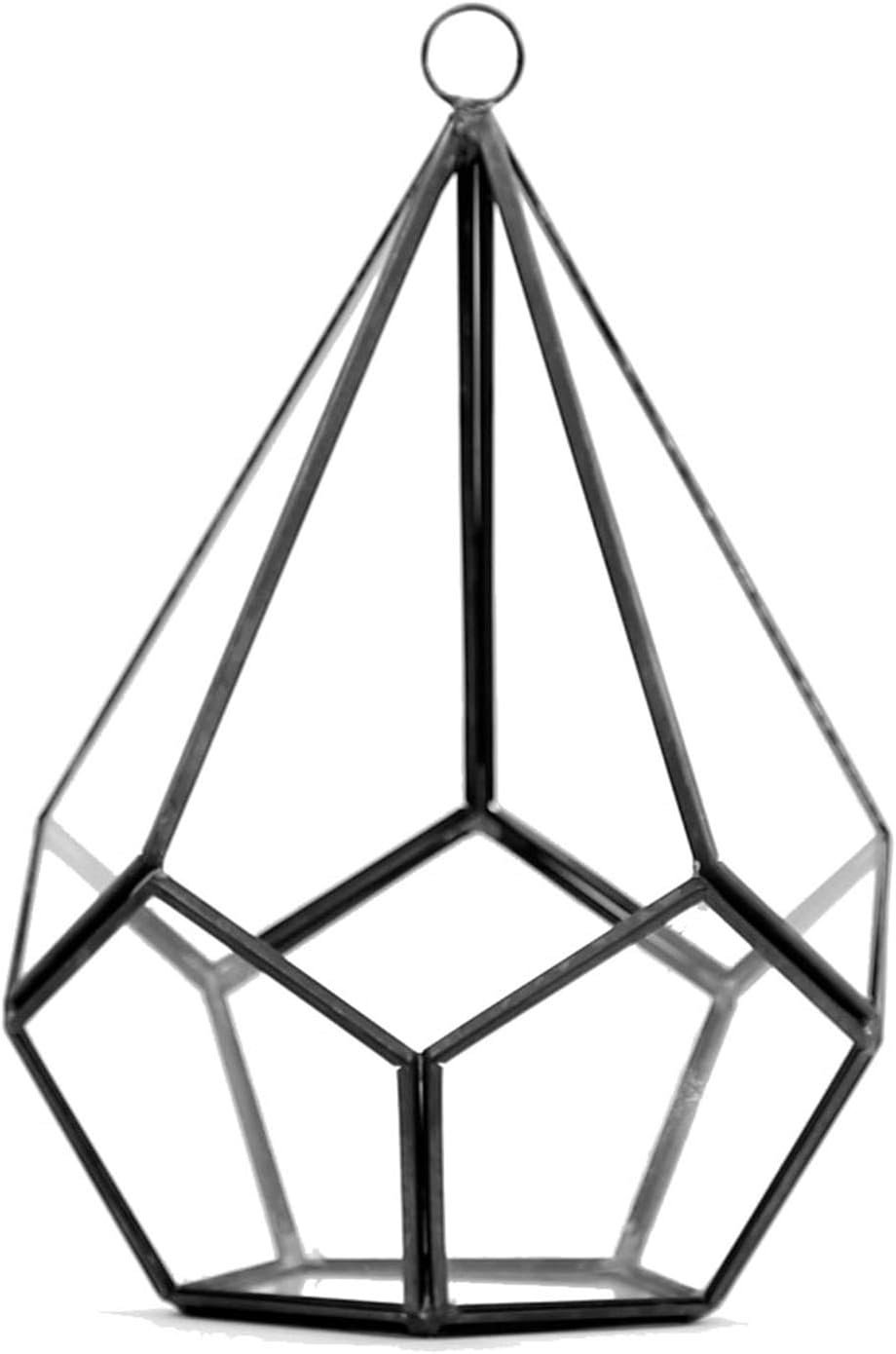 WGV Hanging Geometric Planter Terrarium Width 5.5″ Height 8″ Clear Glass Black Frame DIY Succulent air Plant Miniature Fairy Garden Windowsill Decor Teardrop 1 Piece
