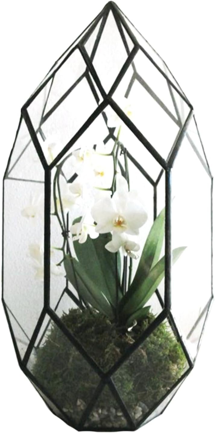 Ferrisland Handmade 10″ Large Glass Terrarium Irregular Geometric Planter Indoor Air Plants Holder Succulent Flower Pot, Black