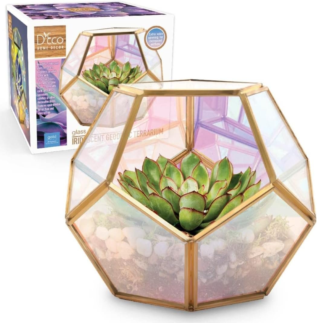 D’Eco Iridescent Glass Centerpiece (7x7x6)- Spring Home & Wedding Decor- Tabletop Geometric Planter Terrarium- Fill with Succulents, Cacti, Air Plants, Moss, Flowers for Plant Lovers