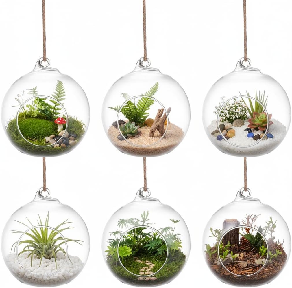 SUPVOX 6-Pack Hanging Glass Terrariums 4 Inch Orb Succulent Plant Holders with Rope for Indoor Outdoor Home Decor Tabletop and Wall Mounted Mini Garden Display
