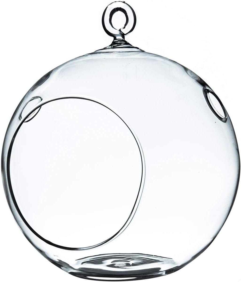 WGV Hanging Terrarium Globe, Width 5″, Height 6″, DIY Air Succulent Planter, Clear Glass Vase Orb with Flat Bottom, Candle Holder for Windowsill Outdoor Garden Decor, 1 Piece