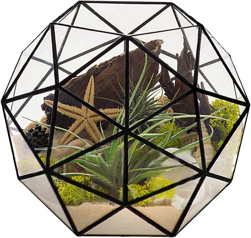 Glass Flower Pots Geometric Terrarium Planter Container Air Plant Display Air Plant Containers for Succulents Balcony Tabletop Miniature Fairy Garden Modern Decor