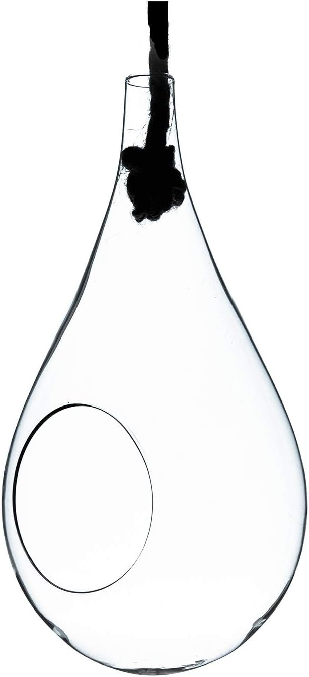WGV Hanging Planter Terrarium, Width 6″, Height 11″, DIY Clear Glass Succulents Air Teardrop Floral Container (Including Rope), Candle Holder Vase for Outdoor Indoor Decor, 1 Piece