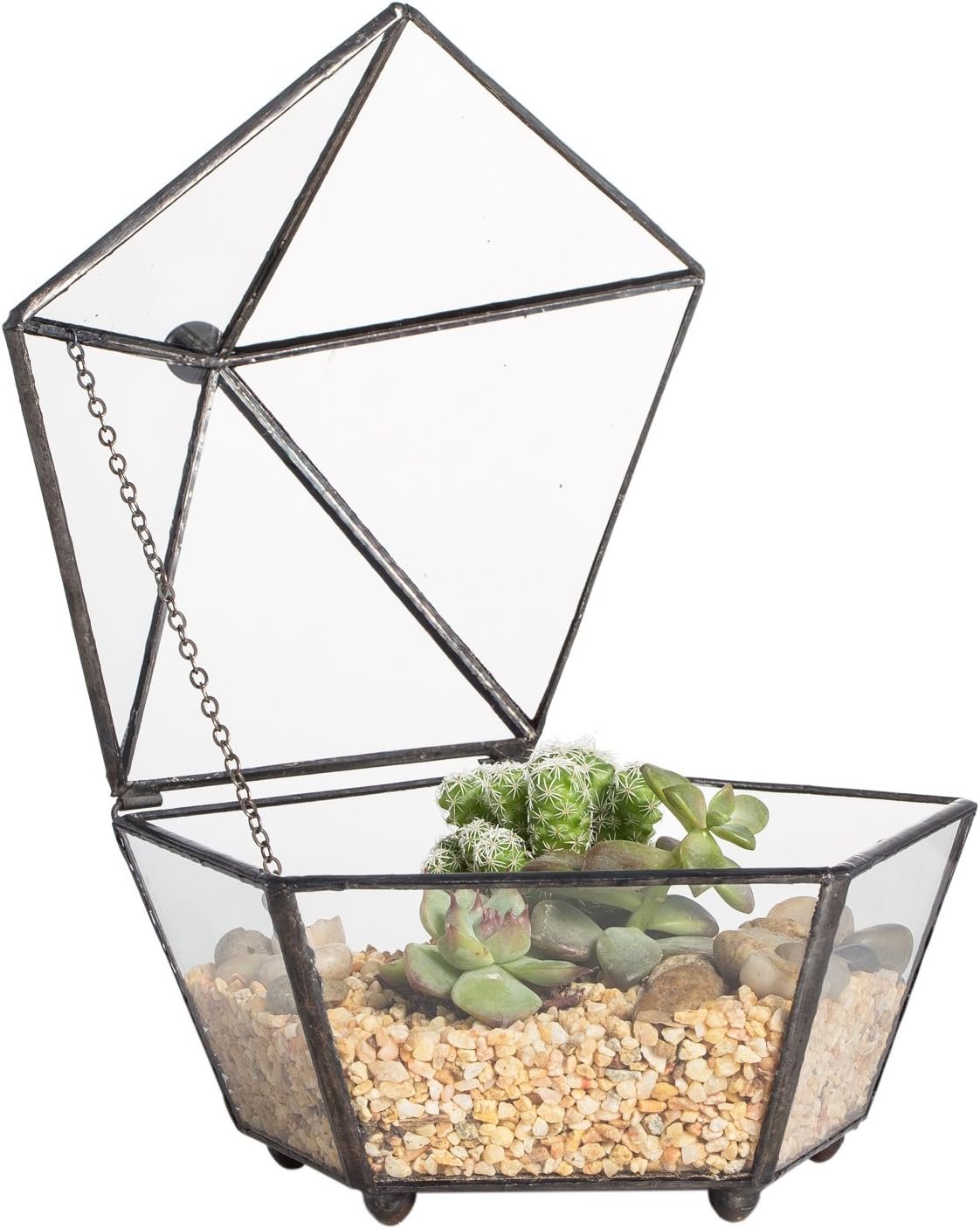 NCYP Small Glass Geometric Terrarium, Closed Jewel-Boxed Shape Container, Plant Succulent Planter Pot, Indoor Garden Decor, 5.3″ x 5.3″ x 4.5″ (Terrarium Only)