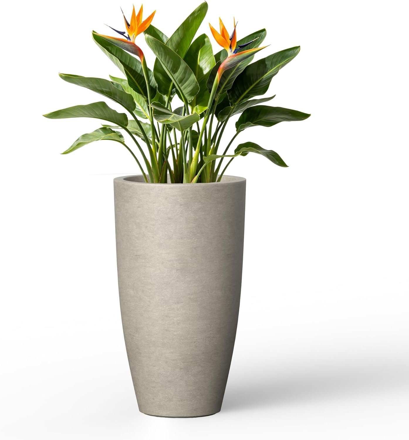 Kante 23.6″ Tall Bullet Shape Concrete Planter, Large Tapered Plant Pot with Drainage Hole & Rubber Plug – Breathable Handmade Weathered Concrete for Floor, Entryway, Patio