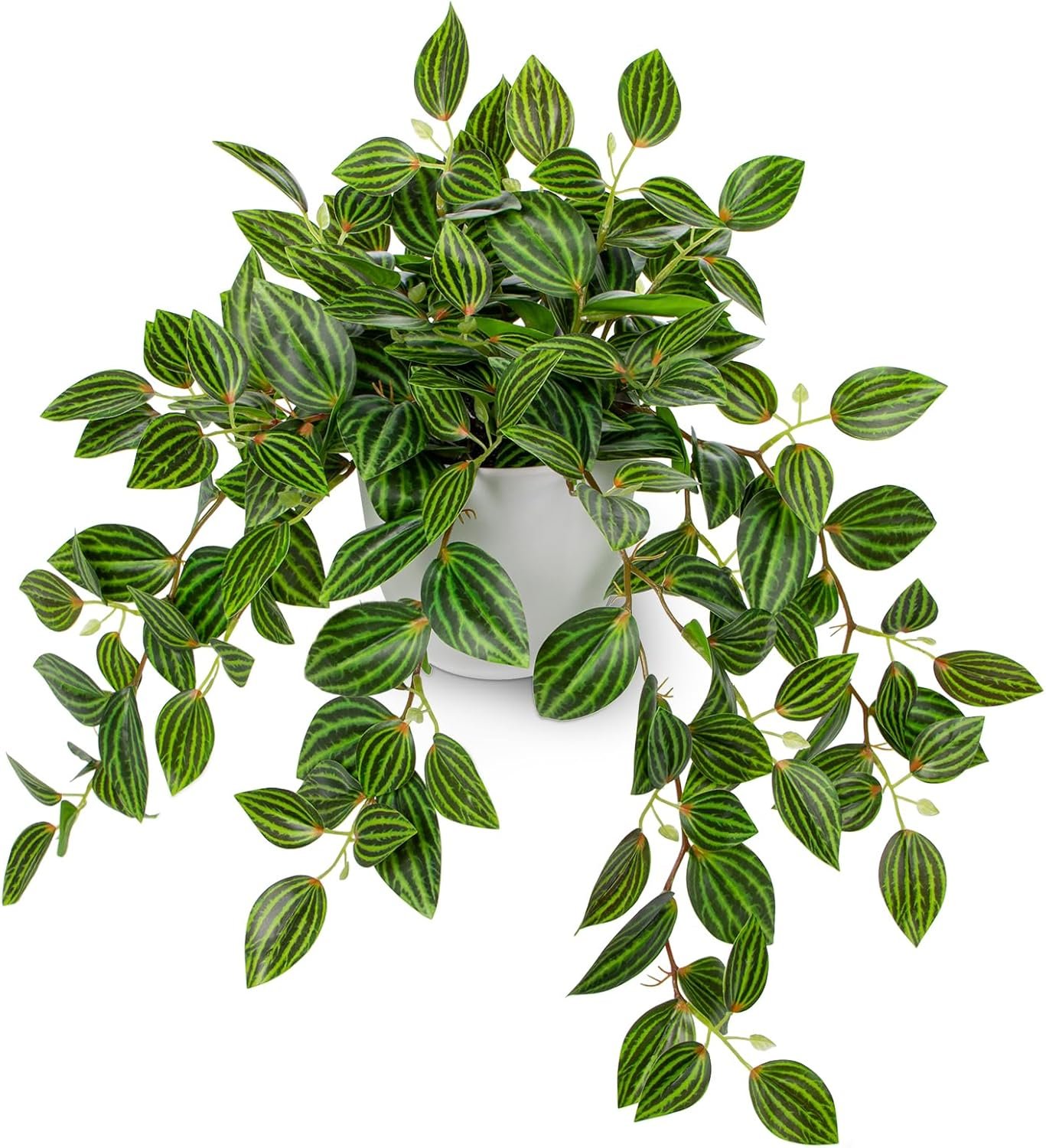 Briful Artificial Plants Indoor Fake Potted Silk Plants Faux Watermelon Peperomia Draping Plant for Home Office Bathroom Shelf Cabinet Tabletop Decoration(Green – 1 Pack)