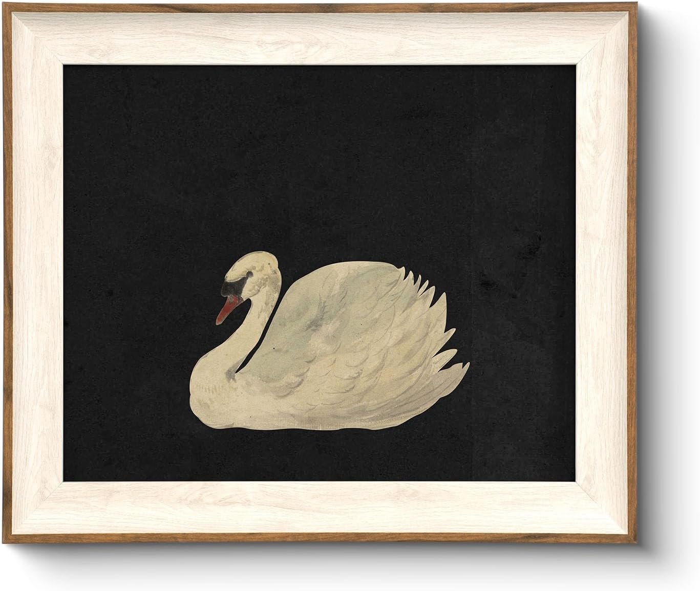 VIYYIEA Framed Wall Art for Living Room, Swan Art Canvas Prints, Vintage Home Decor, Animals Painting Picture, Bathroom Wall Decor Gifts for Friends or Family – 12L x 10W