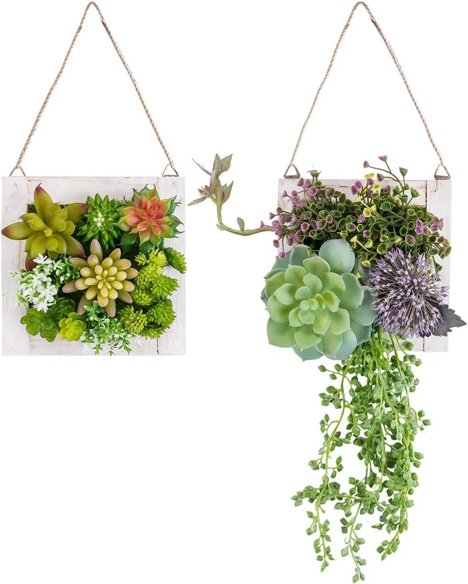 Hanging Wall Artificial Plants for Home Decor Indoor Faux Succulents in Wooden Frame 3D Greenery Decor for Living Room Nursery Backdrop Pake of 2