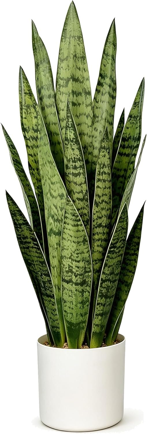 Fake Snake Plant, 27in Artificial Plant with White Pot Realistic Leaves, Low Maintenance Potted Plant for Indoor Decor, No Watering Needed, Perfect for Home, Office & Pet Areas