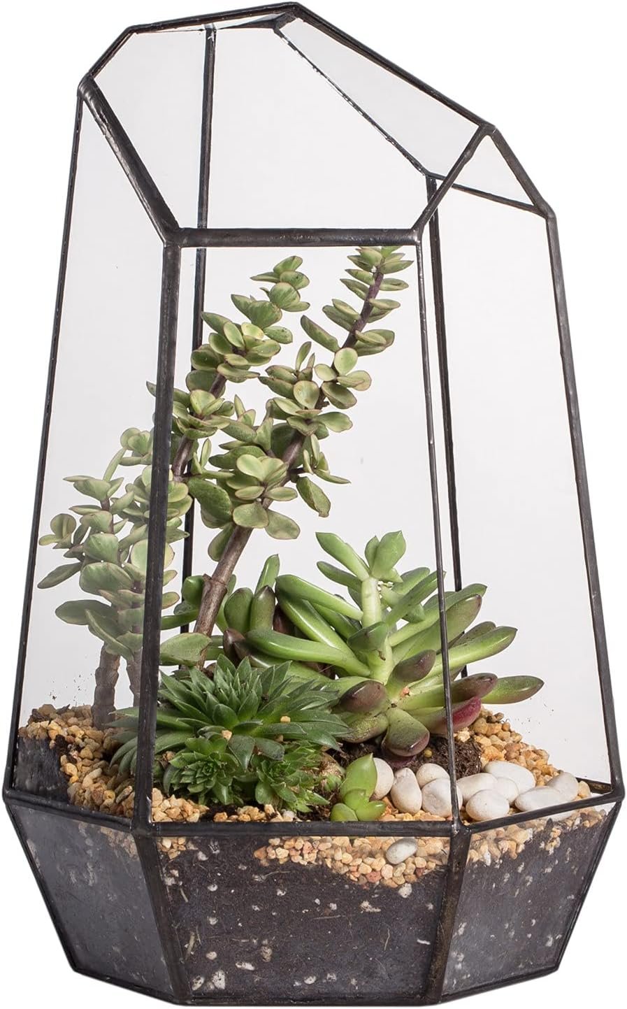 NCYP No Door Geometric Glass Terrarium Planter for Small Succulent, Small Cacti, Black Irregular Opened Terrarium Pot, Indoor Home Garden Office Tabletop Decor, 6.5″ x 5.7″ x 9.8″ (No Plants)