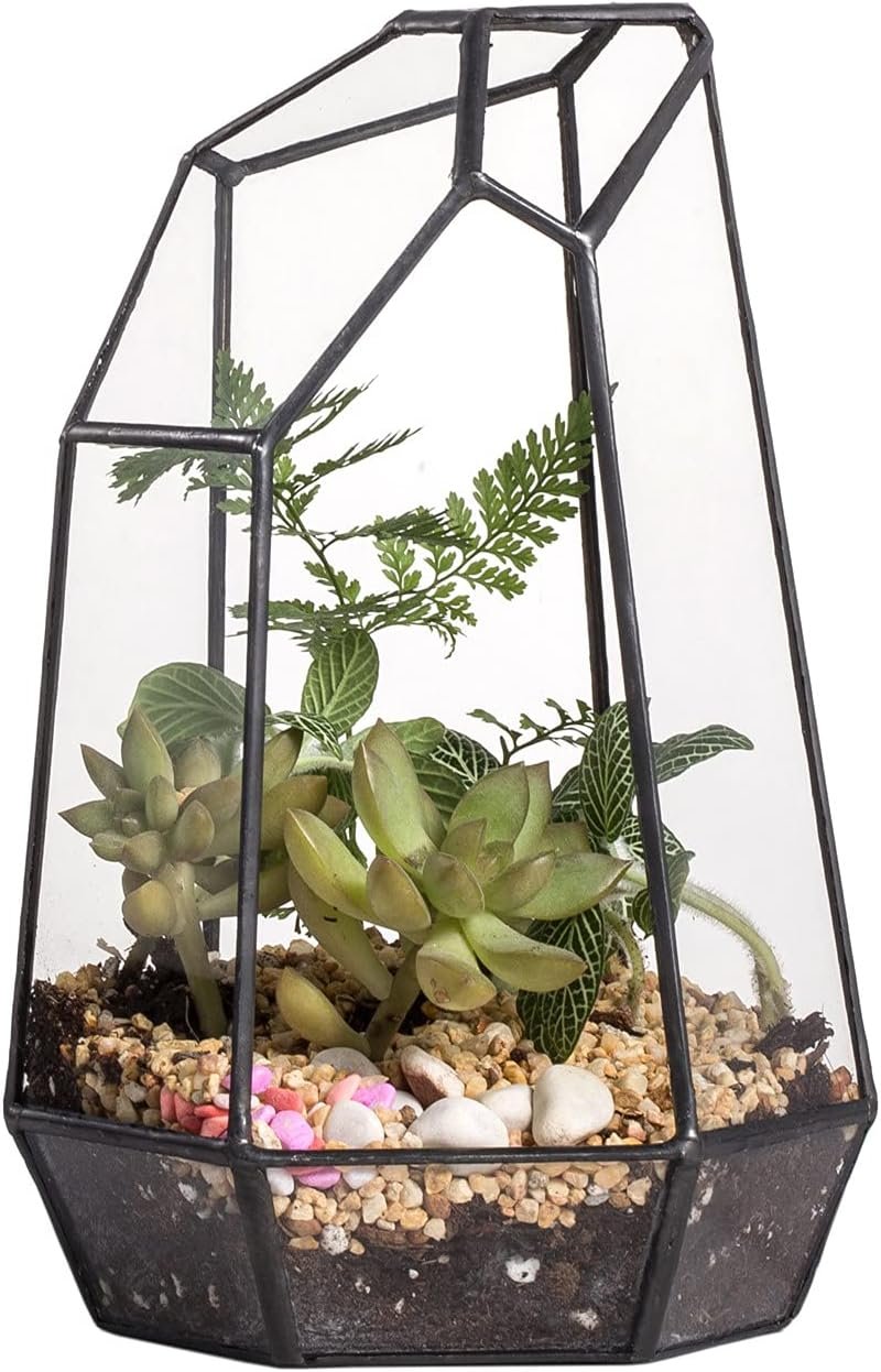 NCYP Small No Door Glass Geometric Terrarium – 4.9 x 3.9 x 7.4 Inches Irregular Clear Terrarium Pot for Mini Succulents, Small Cactus, Indoor Garden Tabletop Decoration (No Plants)