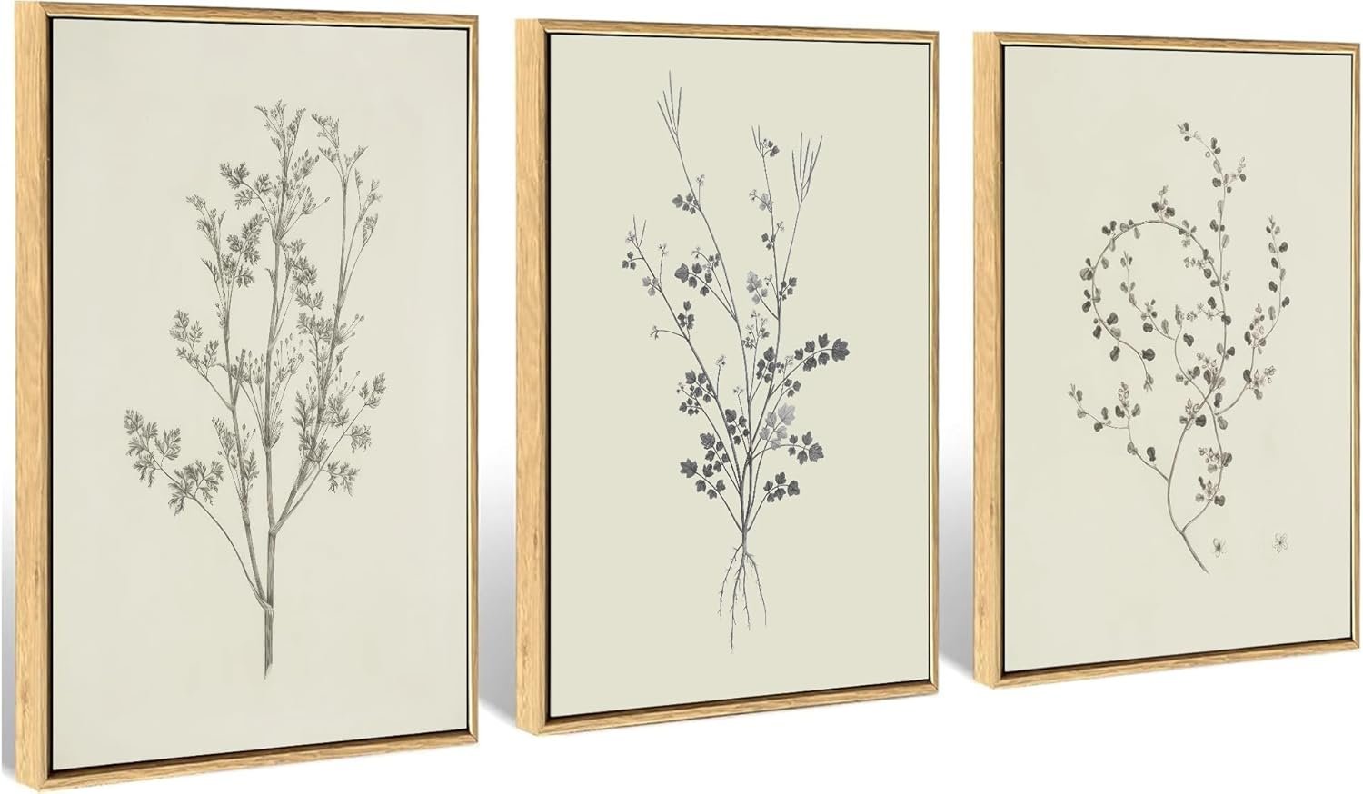 3Pcs Botanical Wall Art Vintage Neutral Branch Wall decor pictures Minimalist Floral Sketch Poster Prints for Farmhouse Living Room Bedroom Kitchen Bathroom Home Decoration 12x16in