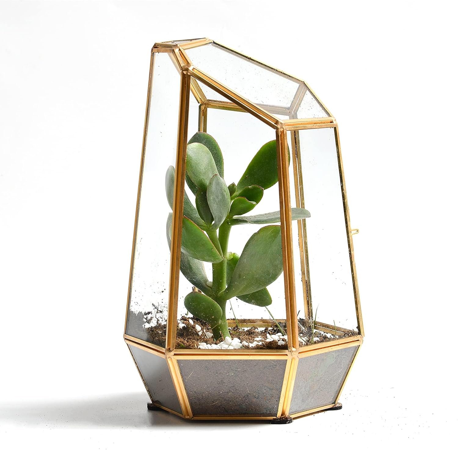 Golden Geometric Glass Terrarium with Door – 9.8″ Tall Irregular Clear Planter for Succulents,Ferns,Moss,Cacti | Indoor Fairy Garden,Tabletop Display,Wedding Home Decoration (Plants Not Included)