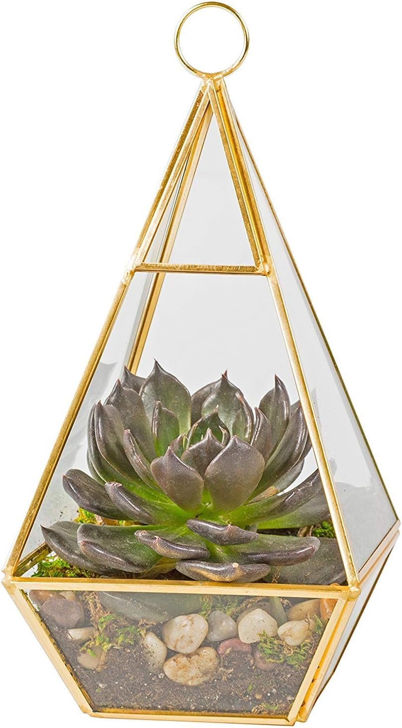 D’Eco Glass Gold Pyramid Centerpiece (5x5x10) – Hanging Planter Terrarium – Spring Home & Wedding Decor – Fill with Succulents, Cacti, Air Plants, Moss, Flowers for Plant Lovers