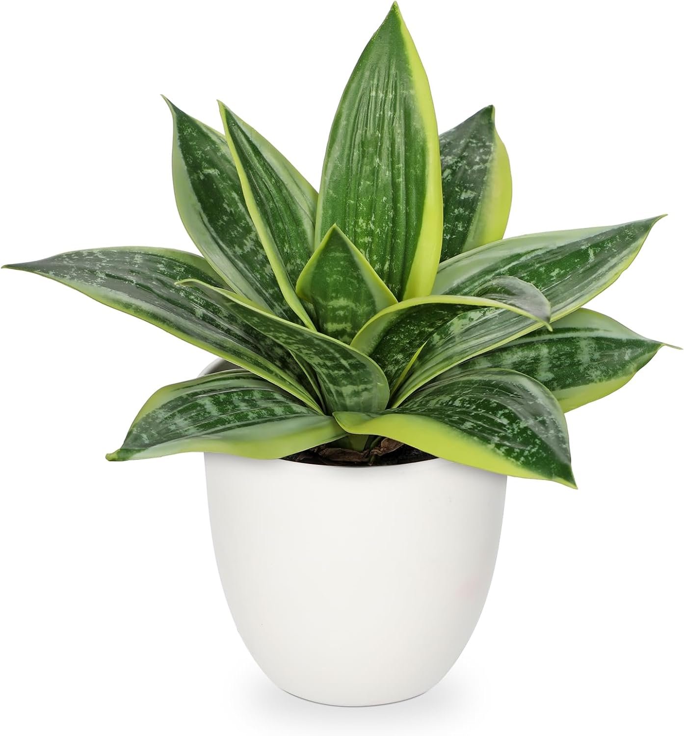 Hollyone Artificial Snake Plants 9″ Faux Agave Succulent Plant Potted in White Pot Fake Sansevieria Aloe Tropical Plant for Desk Modern Office Home Bathroom Indoor Outdoor Decor