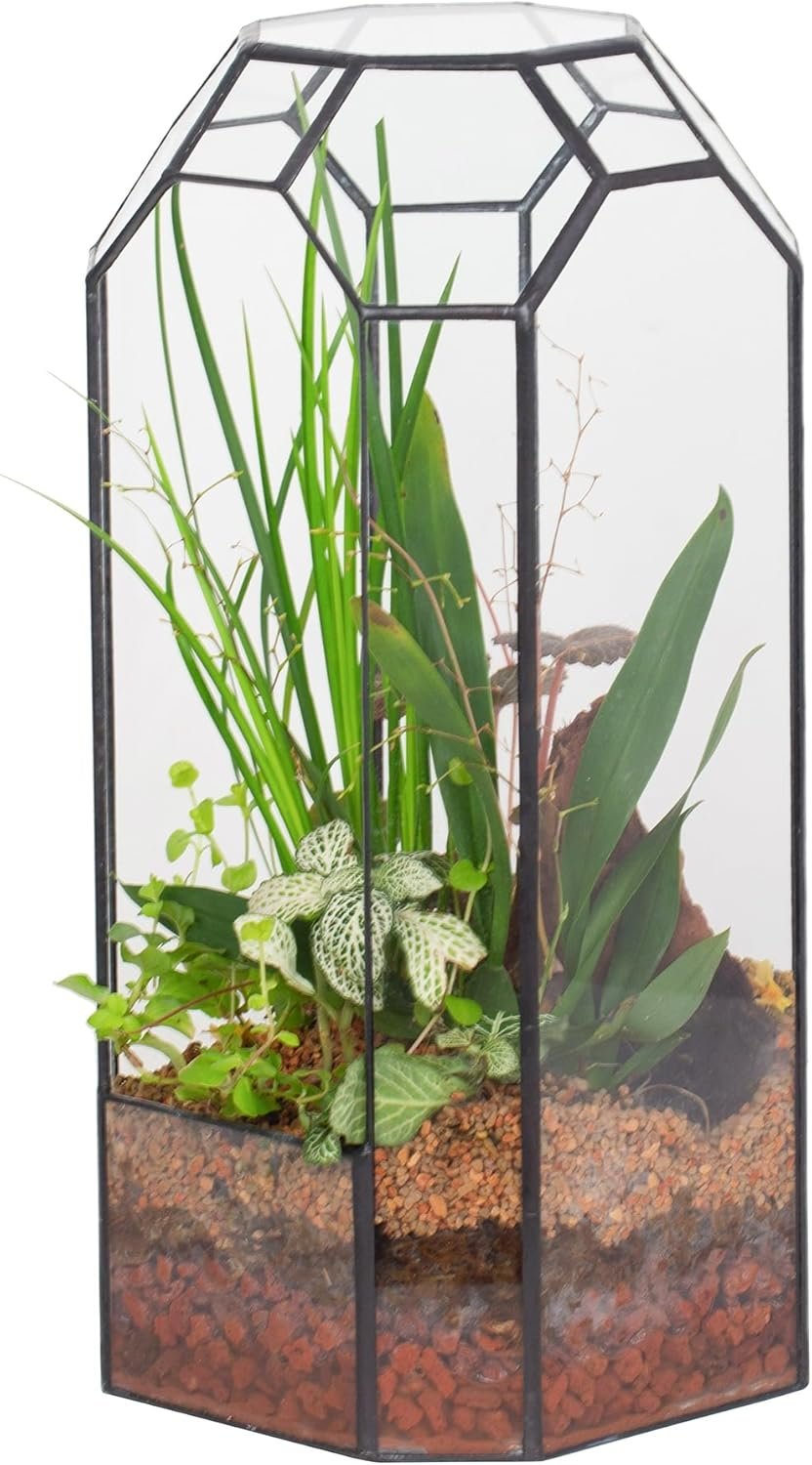 NCYP No Door Glass Geometric Terrarium for Plant, Succulent, Cacti – 5.5″x5.5″x12.8″ Indoor Tall Octagon Glass Planter, Home Garden Office Decoration, Micro Landscape (Terrarium Only)